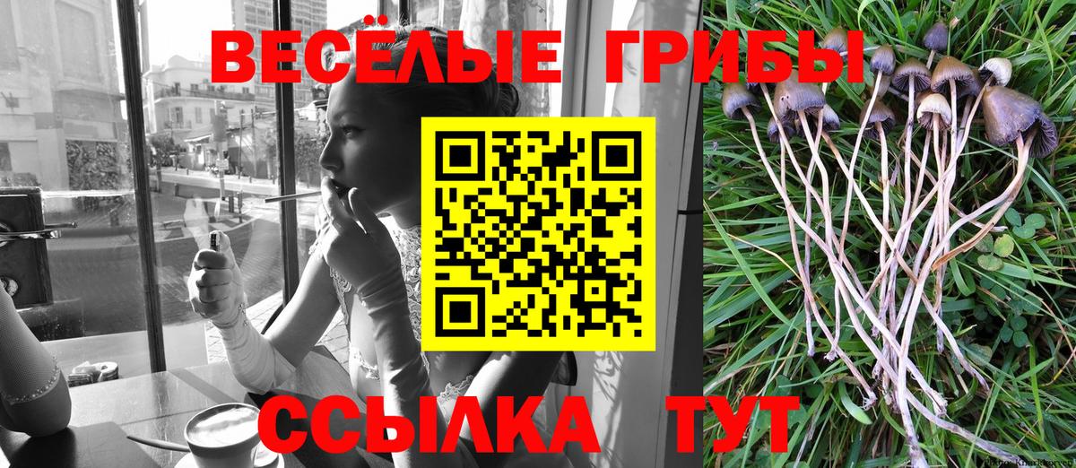 Галлюциногенные грибы Psilocybe  Вход с VPN  Верхняя Салда 