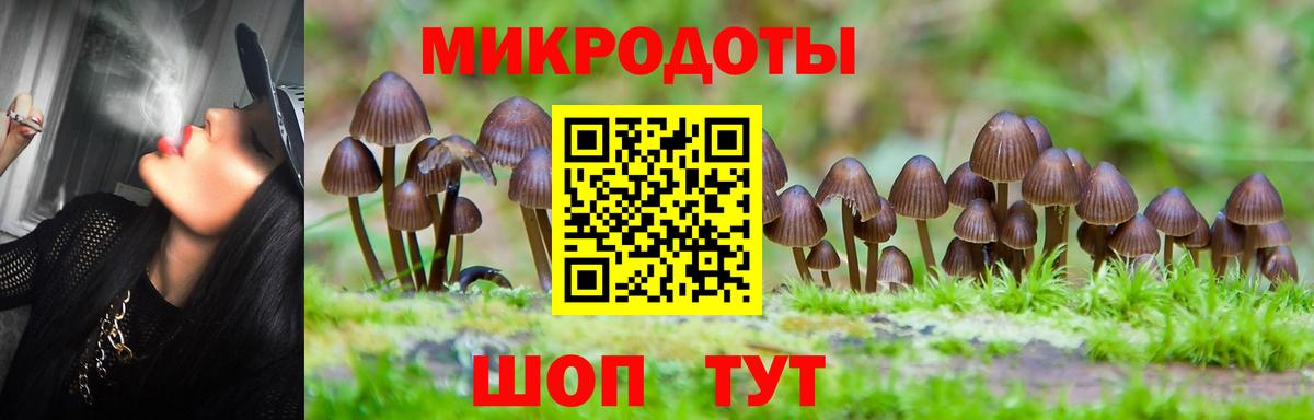 Псилоцибиновые грибы Psilocybine cubensis Верхняя Салда